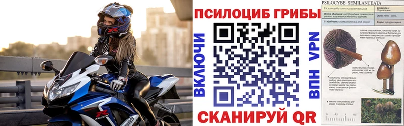 сайты даркнета какой сайт  omg как зайти  Меленки  Псилоцибиновые грибы прущие грибы 